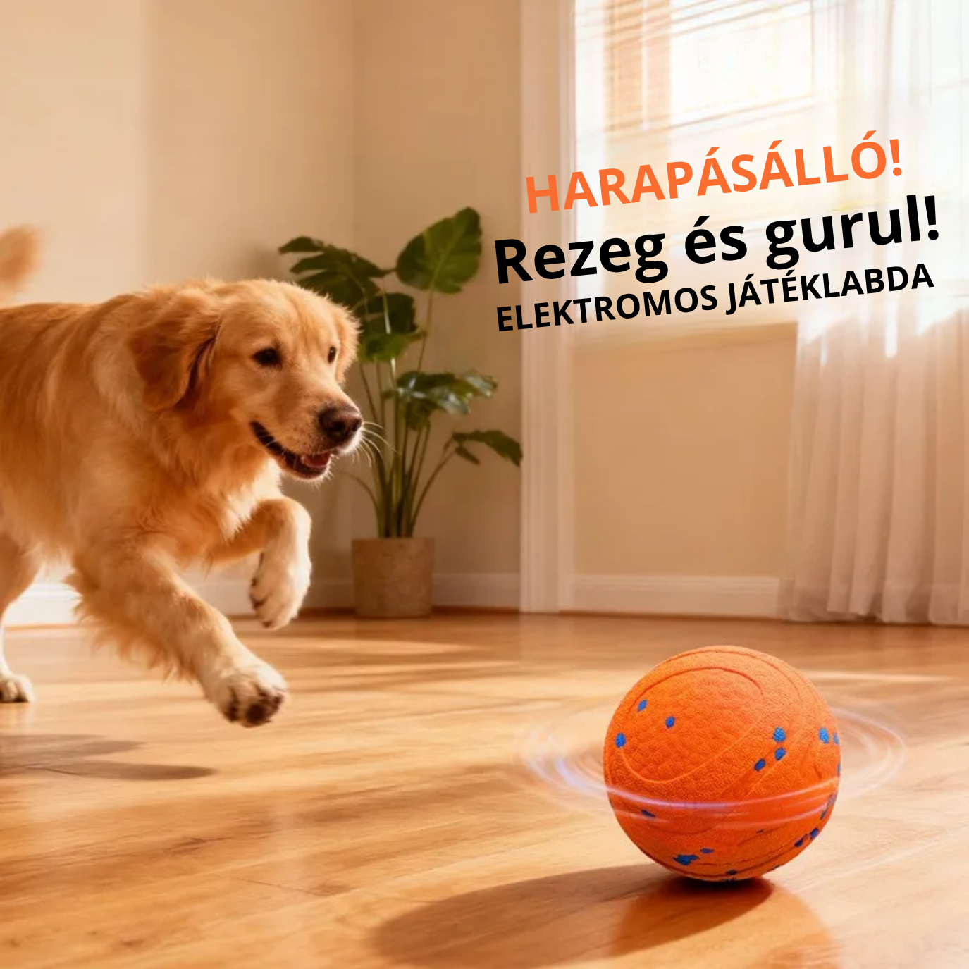 Interaktív, harapásálló automata mozgó kutyalabda